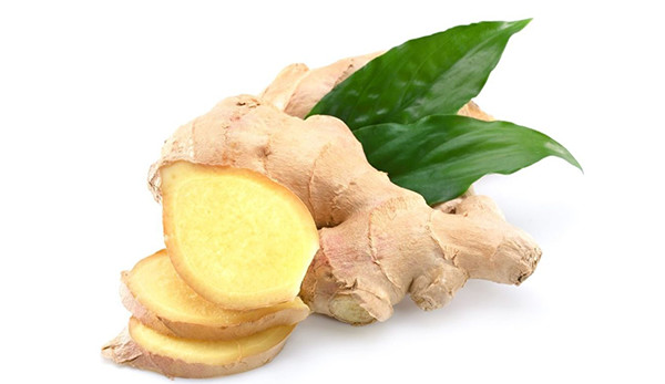 Gengibre