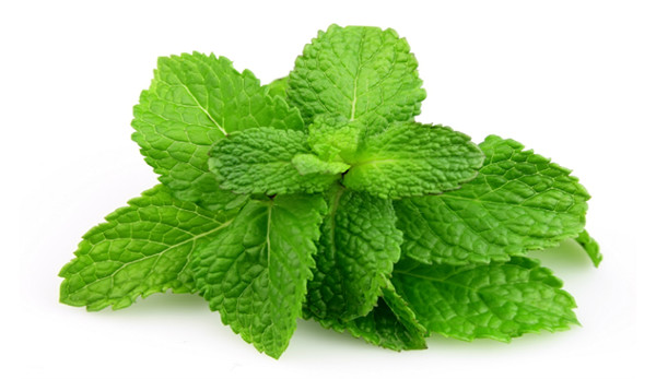 Hortelã pimenta