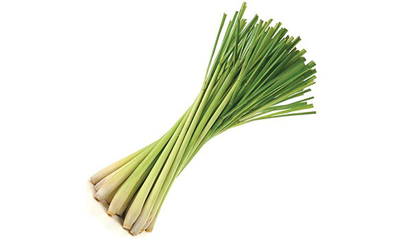 Lemongrass (capim limão)